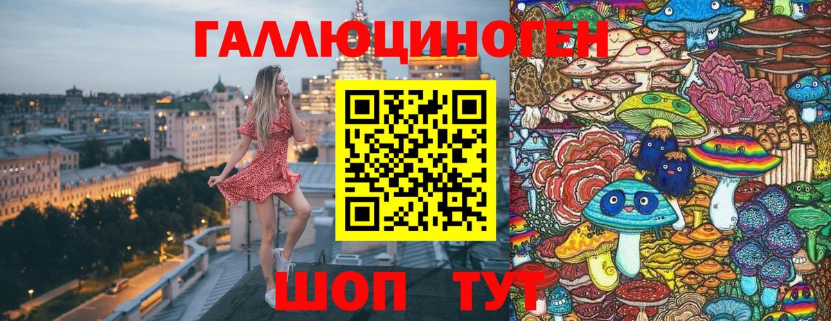 Галлюциногенные грибы Psilocybine cubensis Грозный