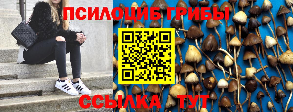 Грозный  Псилоцибиновые грибы Magic Shrooms  купить закладку  Галлюциногенные грибы Psilocybe  Вход с VPN 